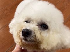 -千城康桥宠物医院·猫科·骨科·心脏