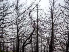 -灵山
