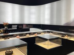 -BLACKSWAN黑天鹅(环球店)