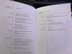 -新加坡航空公司(ION)