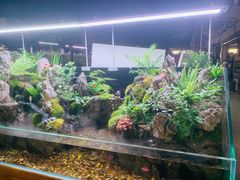 -Rabbit Cafe私房西餐甜点咖啡(栖霞路店)