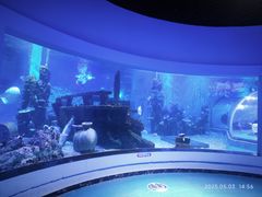 -石林冰雪海洋世界