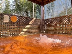 -春晖园度假酒店温泉