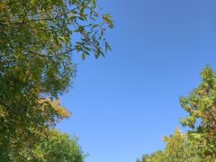 -绿堤公园