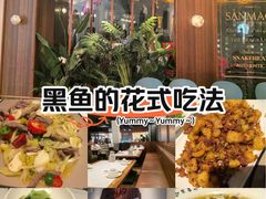 -三猫黑鱼花(南大店)