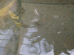 -龙达温泉生态城