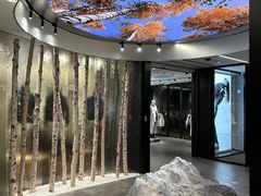 -ARC'TERYX始祖鸟(北京王府中环店)