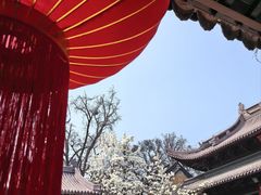 -灵谷景区