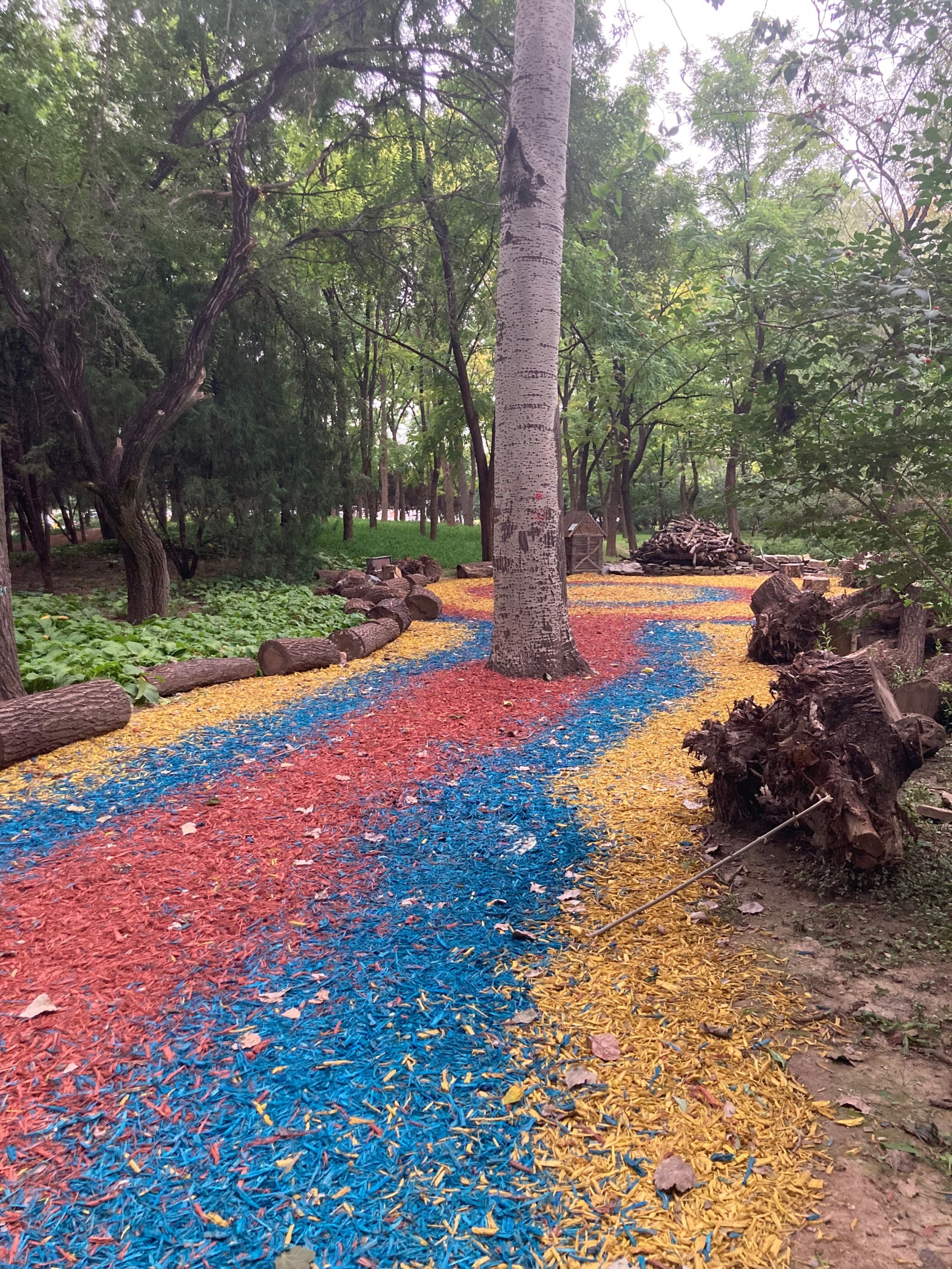 海淀公园本杰士堆