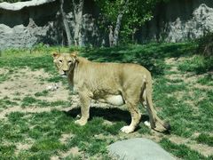 -北京野生动物园
