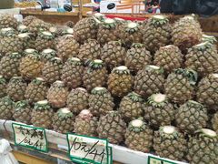 -三亚新鸿港水果一级批发市场