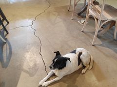 -可可露咖啡店(大东店)