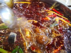 -蜀滋香鲜鱼美蛙火锅(339店)