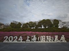 -春花秋色城市公园