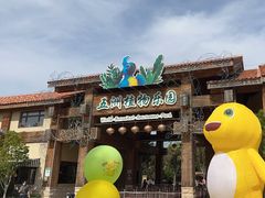 -南宫五洲植物乐园