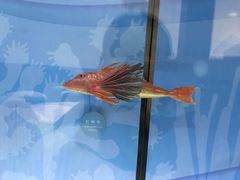 -陕西自然博物馆