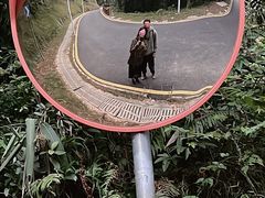-黄埔油麻山森林公园