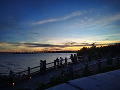 -宝安西湾红树林湿地公园