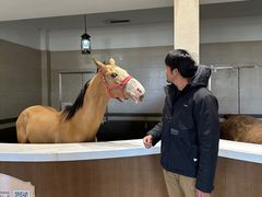 -中国马镇舞马世界主题乐园