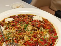 水煮豆花鱼(江团)-川味堂·四川豆花(八卦岭店)