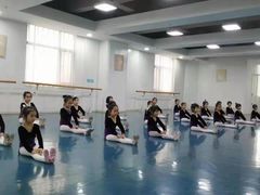 -西安小天鹅艺术团(金花路校区)