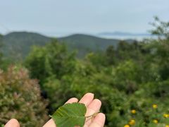 -缥缈峰景区