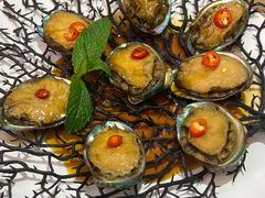 -波螺油子·海肠捞饭·青岛菜(银座店)