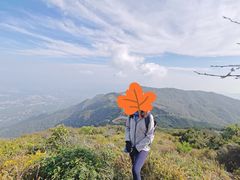-阳台山自然风景区
