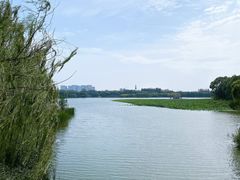 -大兴滨河森林公园