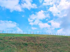 -马峦山郊野公园