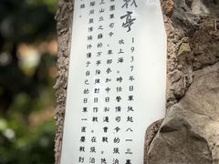-叶家花园