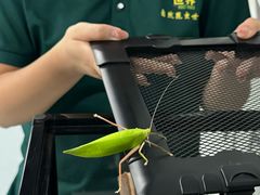-新汇大融城