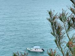 -广东惠东海龟国家级自然保护区