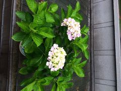 iphone_upload_pic-荆州博物馆