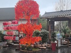 -后湖小院·乡野田园菜