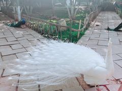 -昆明动物园