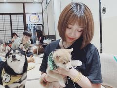 -逗柴咖啡屋·狗咖猫咖宠物桌游