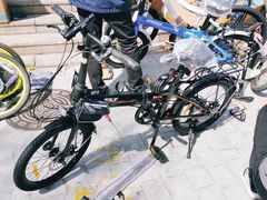 -道路口单车爱瓦士dahon大行