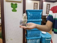 -观桥阁(锦溪店)