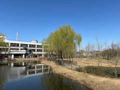 -古塔公园