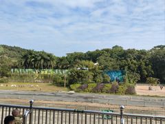 -深圳野生动物园