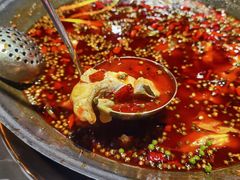 -吃城都·鱼蛙火锅(西玉龙街店)