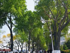 -人民防洪胜利纪念塔