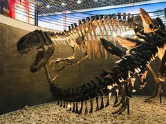 -国家自然博物馆