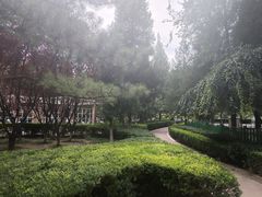 -双榆树公园