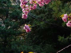 -宣南文化博物馆