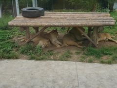 -西安秦岭野生动物园