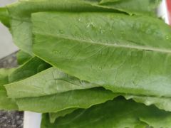 -朋友的火锅店(苏家屯店)