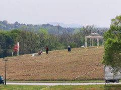 -大塘金香草谷