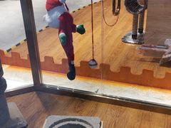 -乐宠宠物店(世纪金源店)